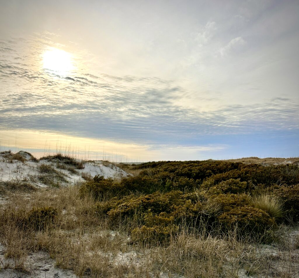 The natural beauty of Topsail Beach NC
